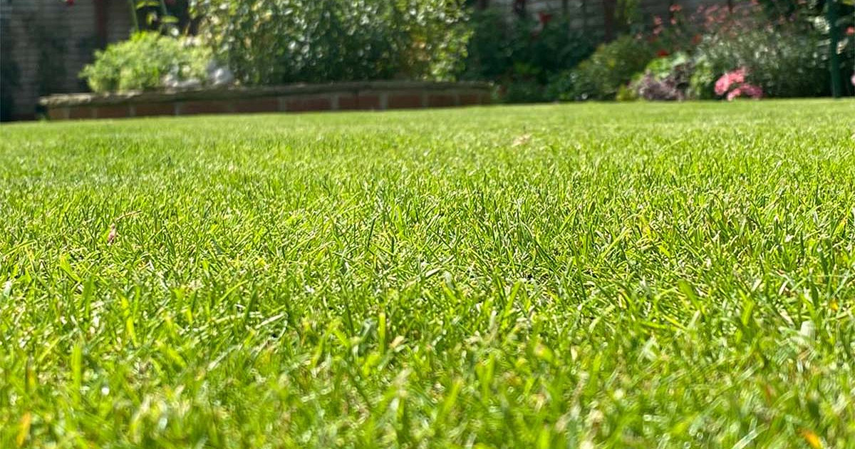 Easy Ways To improve Your Lawn This Summer
