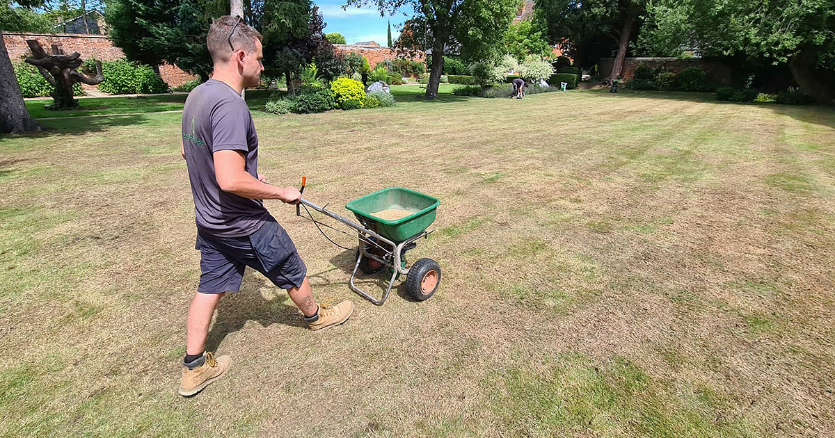 The most effective spring lawn treatments